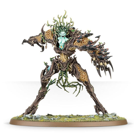 DRYCHA HAMADRETH